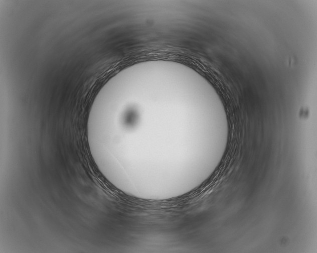 X0000096690820200802261538