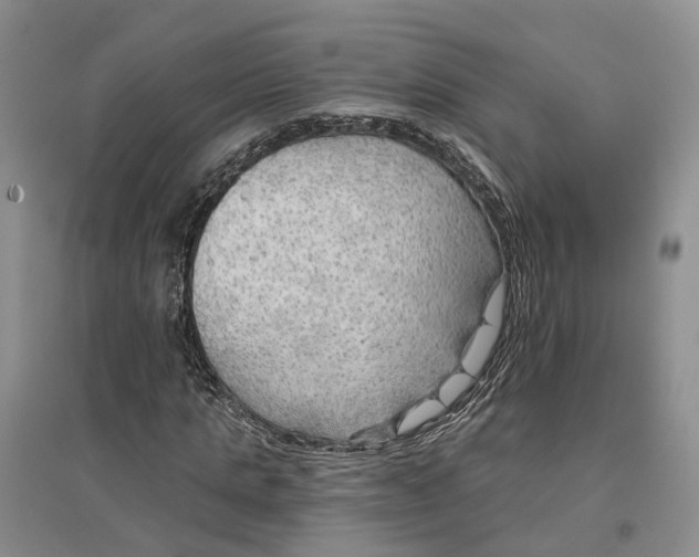 X0000096690821200802261538