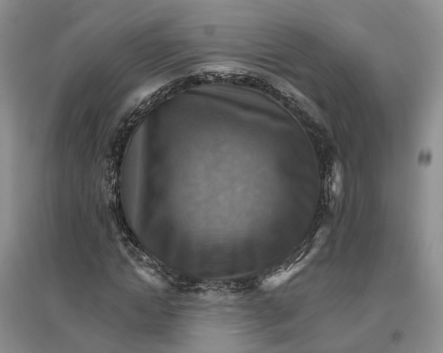 X0000096690822200802261538