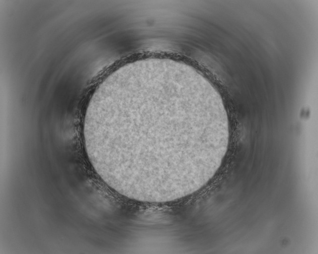 X0000096690824200802261538