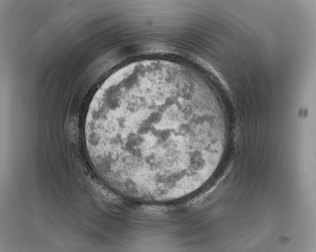 X0000096690825200802261538