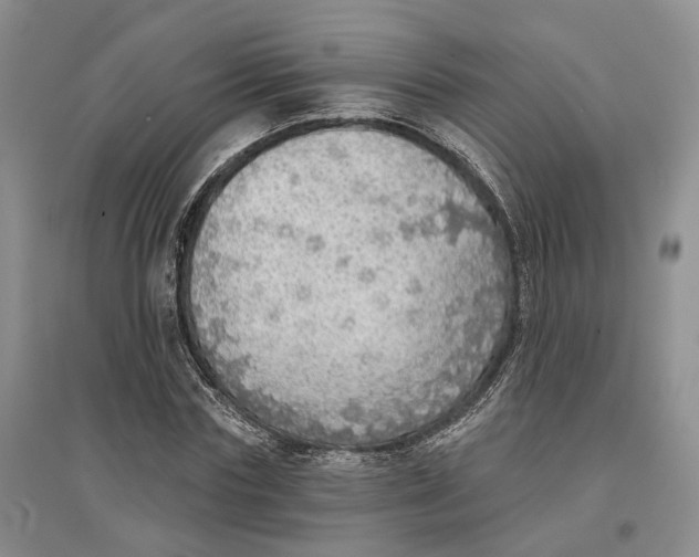 X0000096690827200802261538