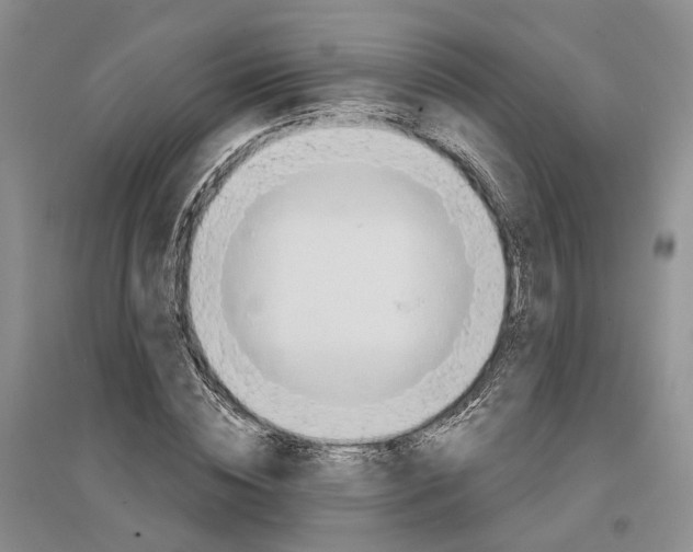 X0000096690828200802261538