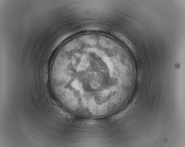 X0000096690829200802261538