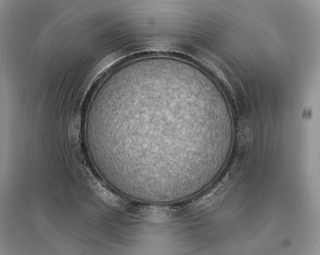 X0000096690831200802261538