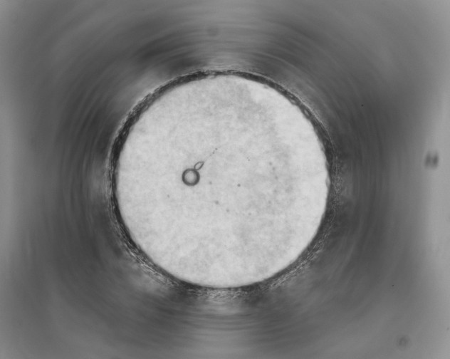 X0000096690832200802261538