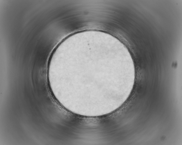 X0000096690836200802261538