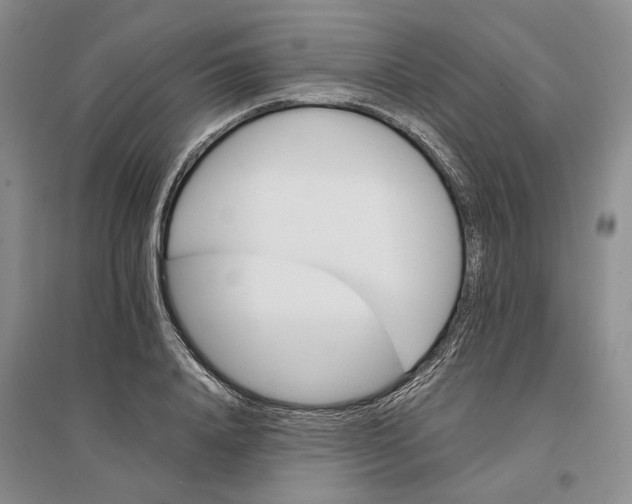 X0000096690840200802261538