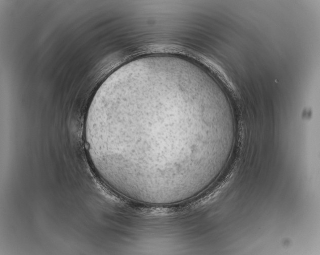 X0000096690841200802261538