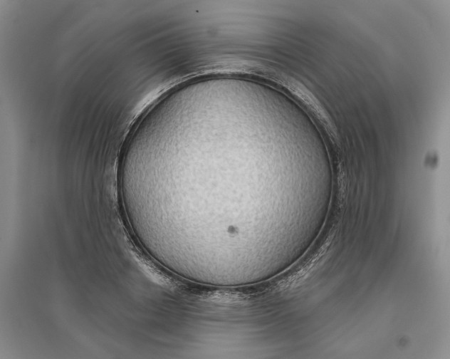 X0000096690842200802261538