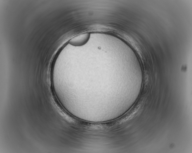 X0000096690843200802261538