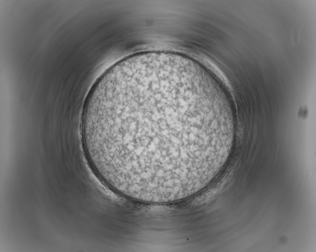 X0000096690847200802261538