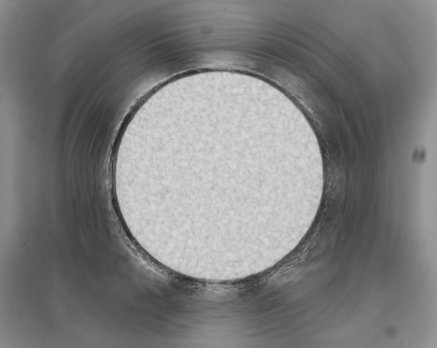 X0000096690848200802261538