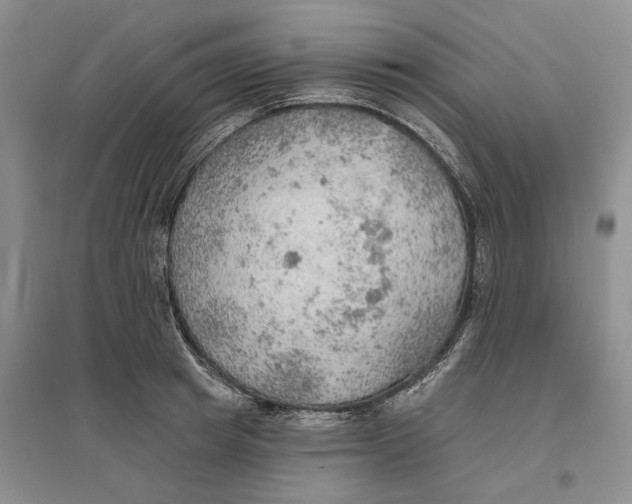 X0000096690849200802261538