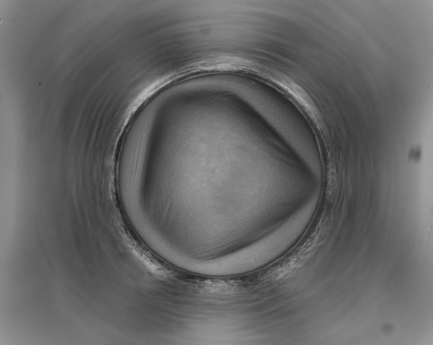 X0000096690850200802261538