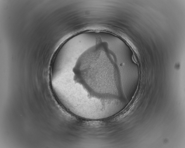 X0000096690853200802261538