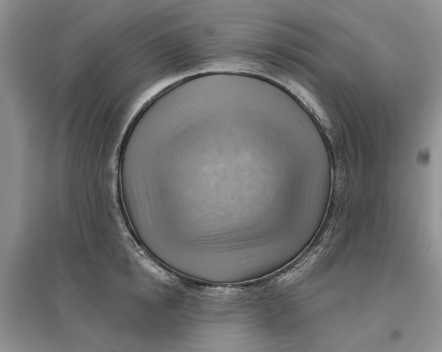 X0000096690854200802261538