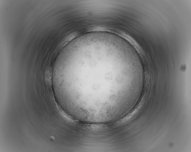 X0000096690857200802261539