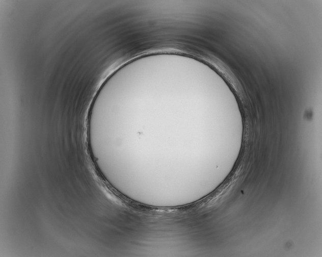 X0000096690858200802261539