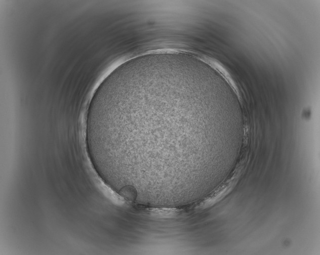 X0000096690859200802261539