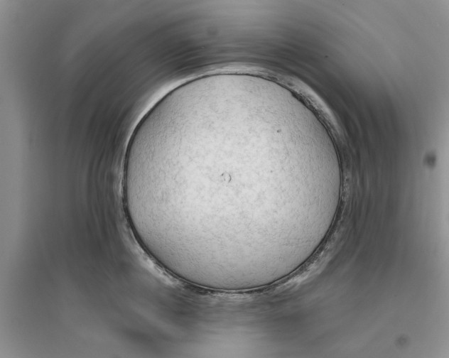 X0000096690860200802261539