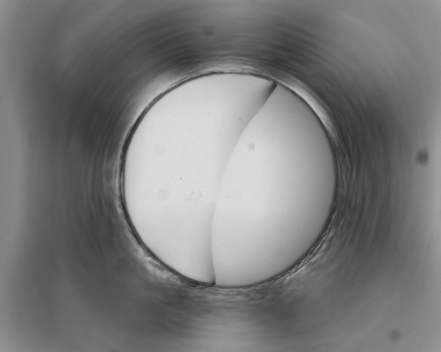 X0000096690861200802261539