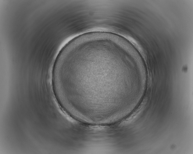 X0000096690862200802261539