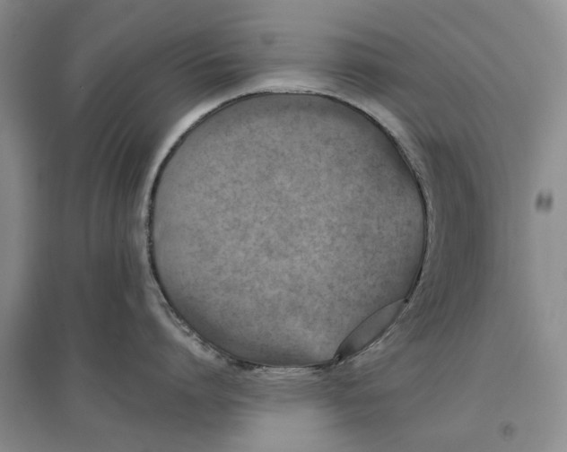 X0000096690864200802261539