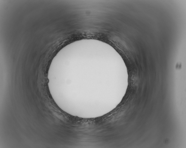 X0000096690865200802261538