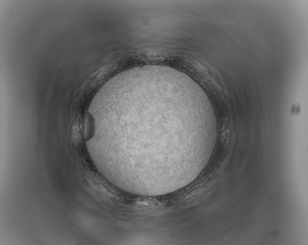 X0000096690866200802261538