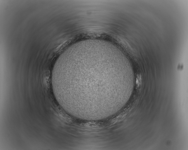 X0000096690867200802261538