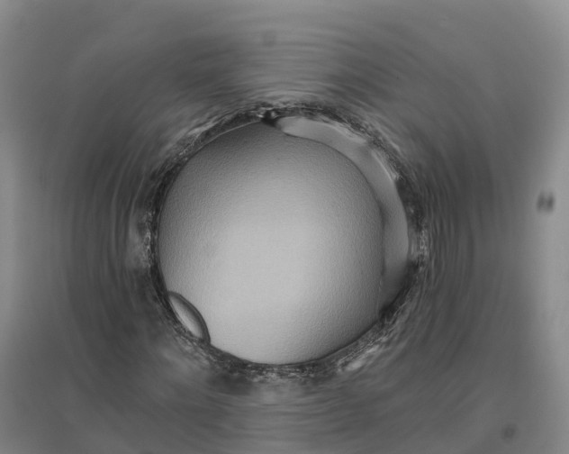 X0000096690868200802261538