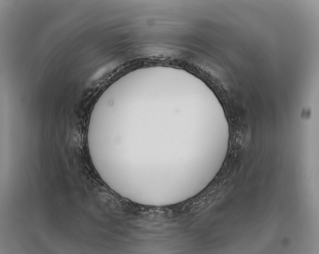 X0000096690869200802261538