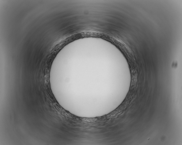 X0000096690870200802261538