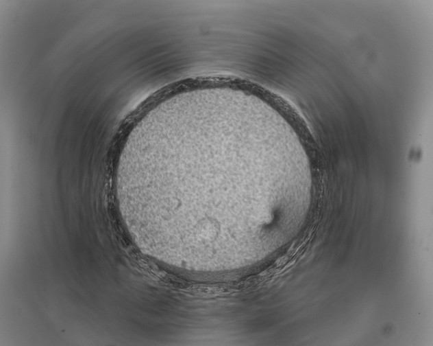 X0000096690871200802261538