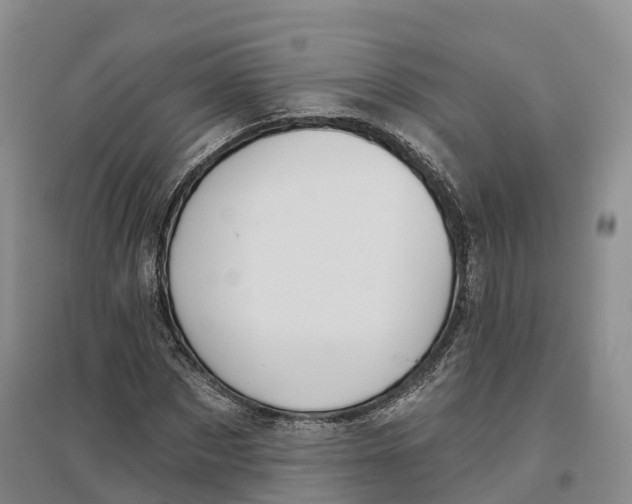 X0000096690873200802261538