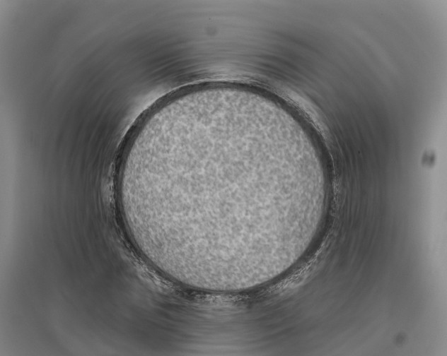 X0000096690875200802261538