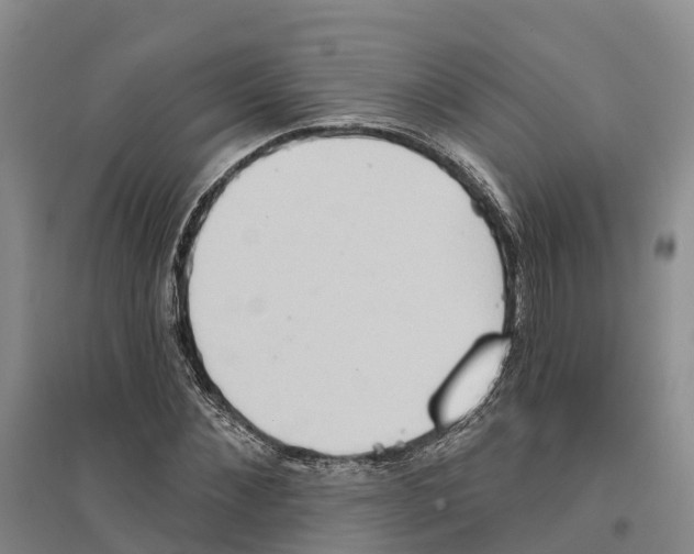 X0000096690876200802261538