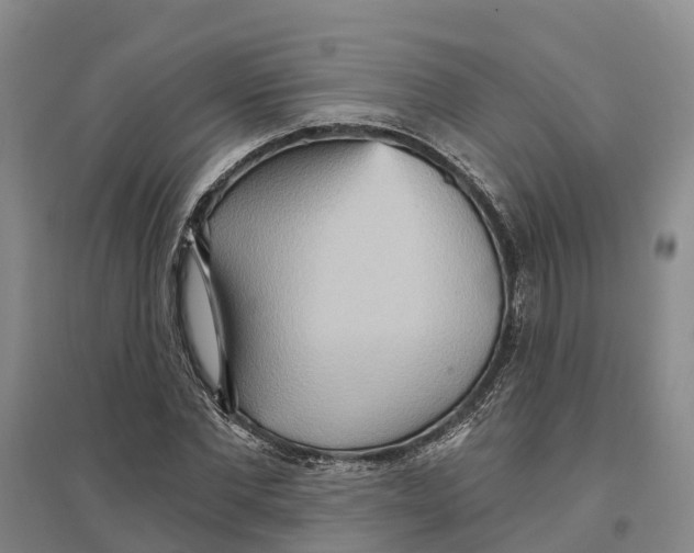 X0000096690877200802261537