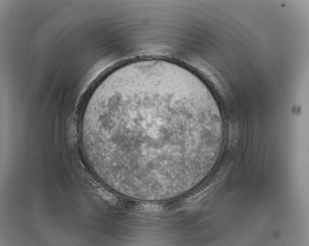 X0000096690878200802261537