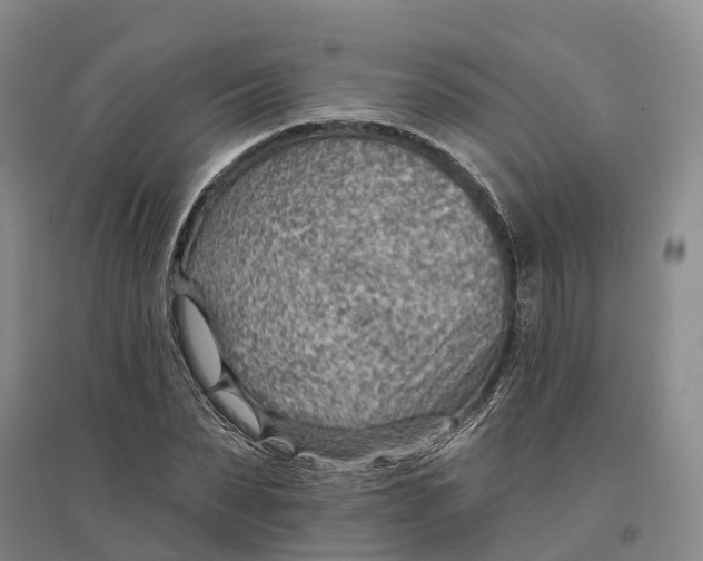 X0000096690879200802261537