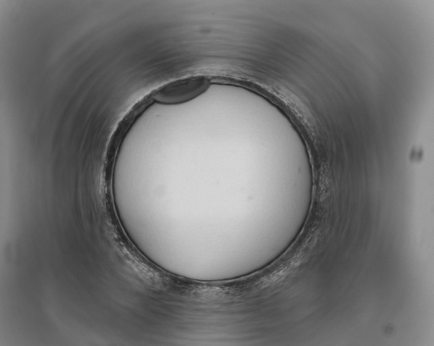 X0000096690880200802261537