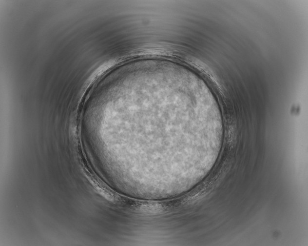 X0000096690882200802261537