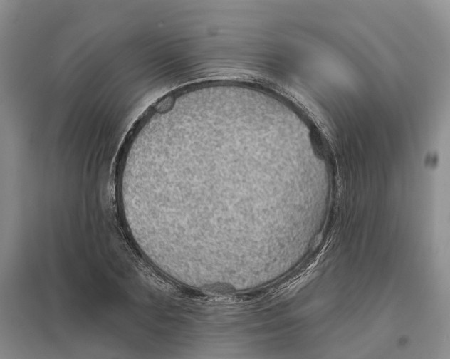 X0000096690883200802261537