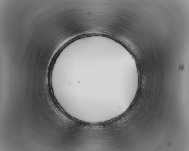 X0000096690884200802261537