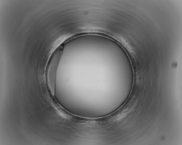 X0000096690885200802261537