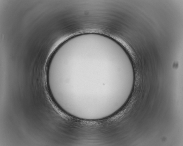 X0000096690886200802261537