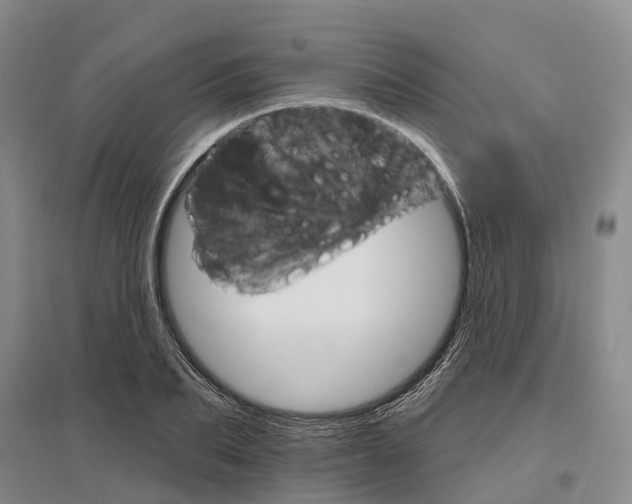 X0000096690887200802261537