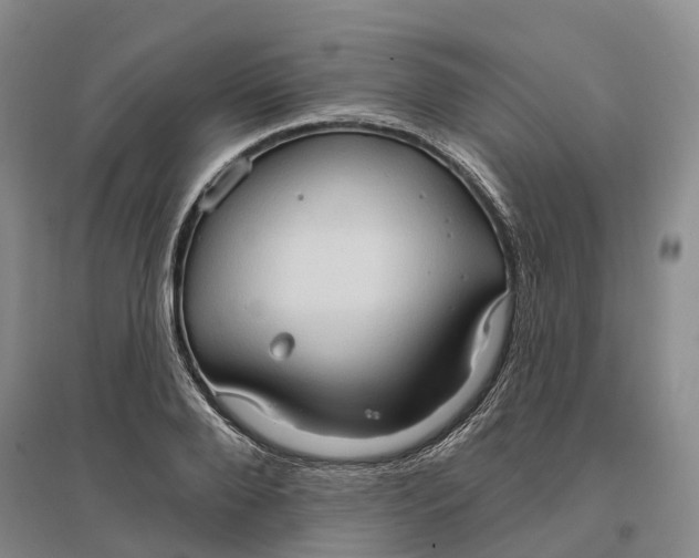 X0000096690888200802261537