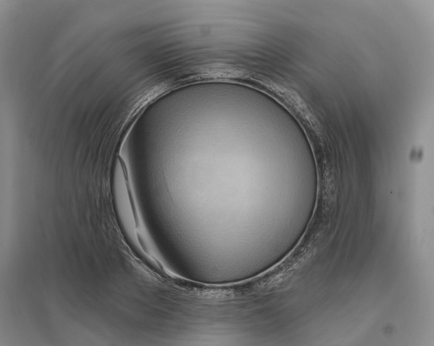 X0000096690889200802261537